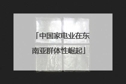 中国家电业在东南亚群体性崛起