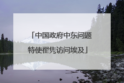 中国政府中东问题特使翟隽访问埃及