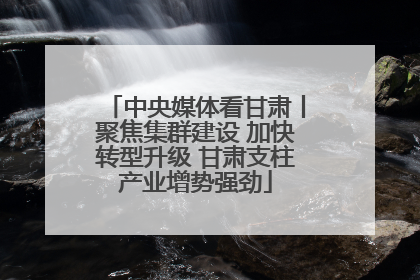 中央媒体看甘肃丨聚焦集群建设 加快转型升级 甘肃支柱产业增势强劲