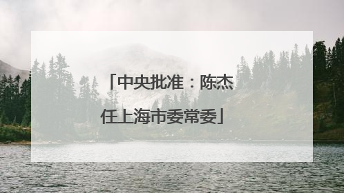中央批准：陈杰任上海市委常委