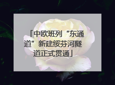 中欧班列“东通道”新建绥芬河隧道正式贯通