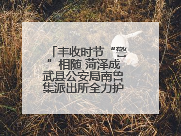 丰收时节“警”相随 菏泽成武县公安局南鲁集派出所全力护航大蒜收获季