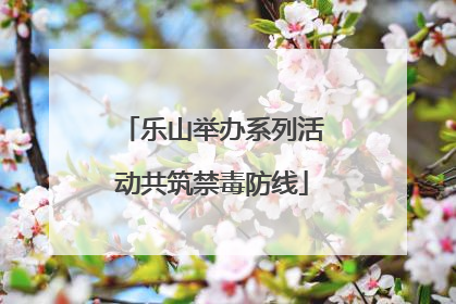 乐山举办系列活动共筑禁毒防线