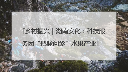 乡村振兴｜湖南安化：科技服务团“把脉问诊”水果产业