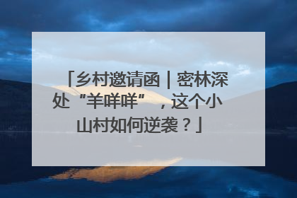 乡村邀请函｜密林深处“羊咩咩”，这个小山村如何逆袭？