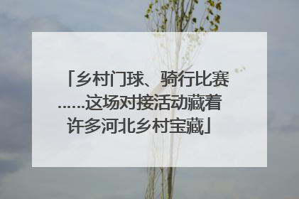 乡村门球、骑行比赛……这场对接活动藏着许多河北乡村宝藏