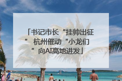 书记市长“挂帅出征” 杭州催动“小龙们”向AI高地进发