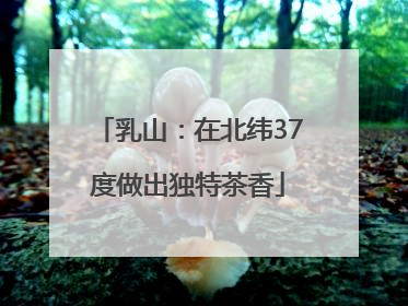 乳山：在北纬37度做出独特茶香