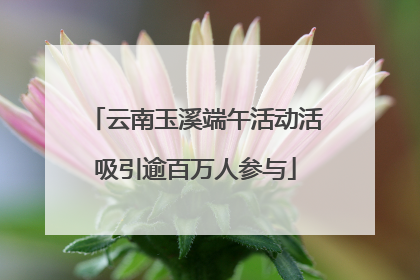 云南玉溪端午活动活吸引逾百万人参与