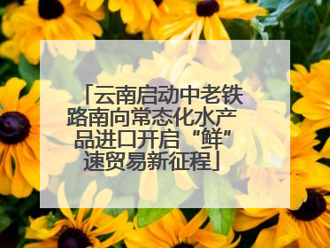 云南启动中老铁路南向常态化水产品进口开启“鲜”速贸易新征程