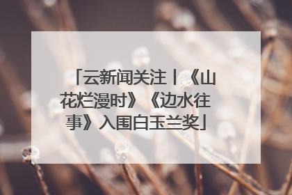 云新闻关注丨《山花烂漫时》《边水往事》入围白玉兰奖
