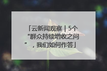 云新闻观察｜5个“群众持续增收之问”，我们如何作答