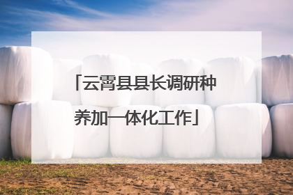 云霄县县长调研种养加一体化工作