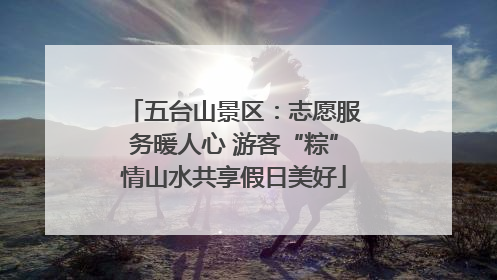 五台山景区：志愿服务暖人心 游客“粽”情山水共享假日美好