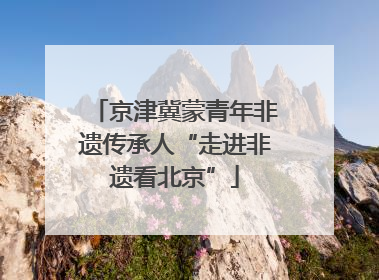 京津冀蒙青年非遗传承人“走进非遗看北京”