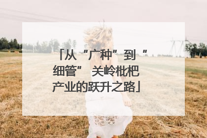 从“广种”到“细管” 关岭枇杷产业的跃升之路