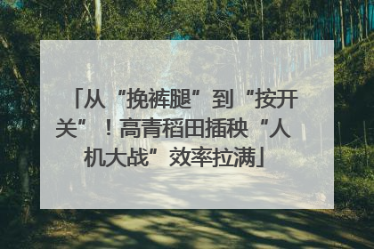从“挽裤腿”到“按开关”！高青稻田插秧“人机大战”效率拉满