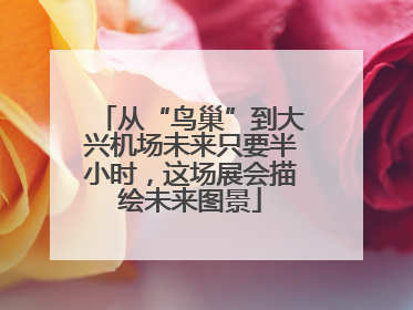 从“鸟巢”到大兴机场未来只要半小时，这场展会描绘未来图景