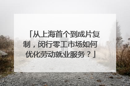 从上海首个到成片复制，闵行零工市场如何优化劳动就业服务？