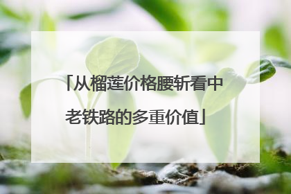 从榴莲价格腰斩看中老铁路的多重价值