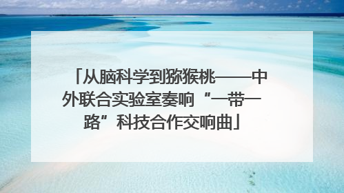 从脑科学到猕猴桃——中外联合实验室奏响“一带一路”科技合作交响曲