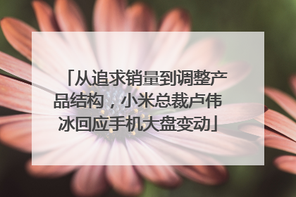 从追求销量到调整产品结构，小米总裁卢伟冰回应手机大盘变动