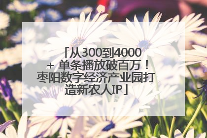 从300到4000+ 单条播放破百万！枣阳数字经济产业园打造新农人IP