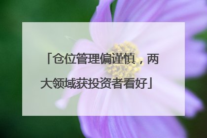 仓位管理偏谨慎，两大领域获投资者看好