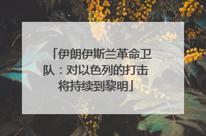 伊朗伊斯兰革命卫队：对以色列的打击将持续到黎明