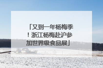 又到一年杨梅季！浙江杨梅赴沪参加世界级食品展