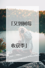 又到树莓收获季