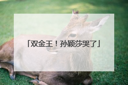 双金王！孙颖莎哭了
