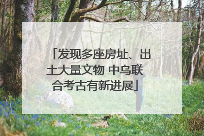 发现多座房址、出土大量文物 中乌联合考古有新进展