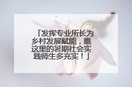 发挥专业所长为乡村发展赋能，瞧这里的暑期社会实践师生多充实！