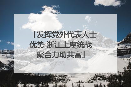 发挥党外代表人士优势 浙江上虞统战聚合力助共富