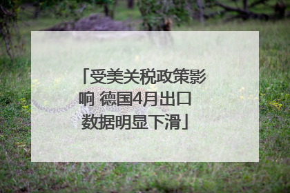 受美关税政策影响 德国4月出口数据明显下滑