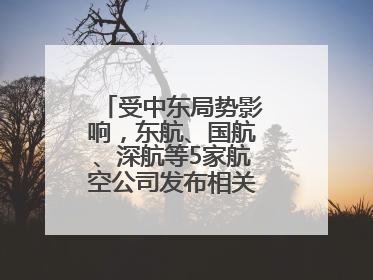 受中东局势影响，东航、国航、深航等5家航空公司发布相关航线退改政策