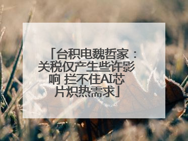 台积电魏哲家：关税仅产生些许影响 拦不住AI芯片炽热需求