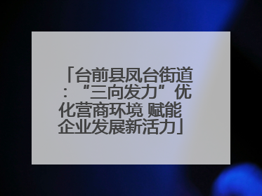 台前县凤台街道：“三向发力”优化营商环境 赋能企业发展新活力