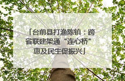 台前县打渔陈镇：跨省联建架通“连心桥” 惠及民生促振兴