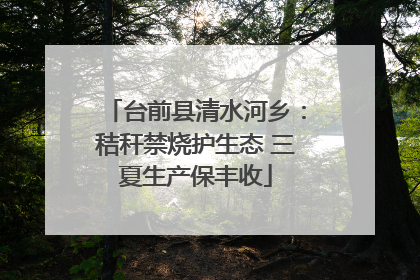 台前县清水河乡：秸秆禁烧护生态 三夏生产保丰收