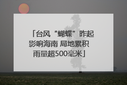 台风“蝴蝶”昨起影响海南 局地累积雨量超500毫米