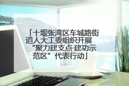 十堰张湾区车城路街道人大工委组织开展 “聚力建支点·建功示范区”代表行动