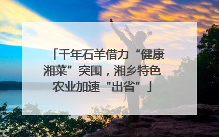 千年石羊借力“健康湘菜”突围，湘乡特色农业加速“出省”