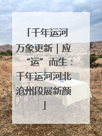 千年运河 万象更新｜应“运”而生：千年运河河北沧州段展新颜