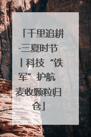 千里追耕·三夏时节丨科技“铁军”护航 麦收颗粒归仓