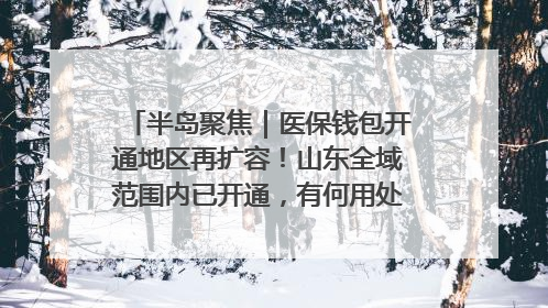 半岛聚焦｜医保钱包开通地区再扩容！山东全域范围内已开通，有何用处？如何操作？速戳→