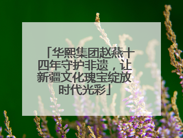 华熙集团赵燕十四年守护非遗，让新疆文化瑰宝绽放时代光彩