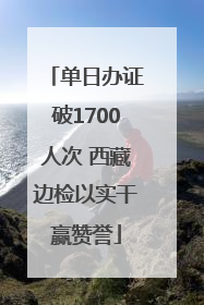 单日办证破1700人次 西藏边检以实干赢赞誉