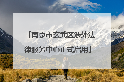 南京市玄武区涉外法律服务中心正式启用